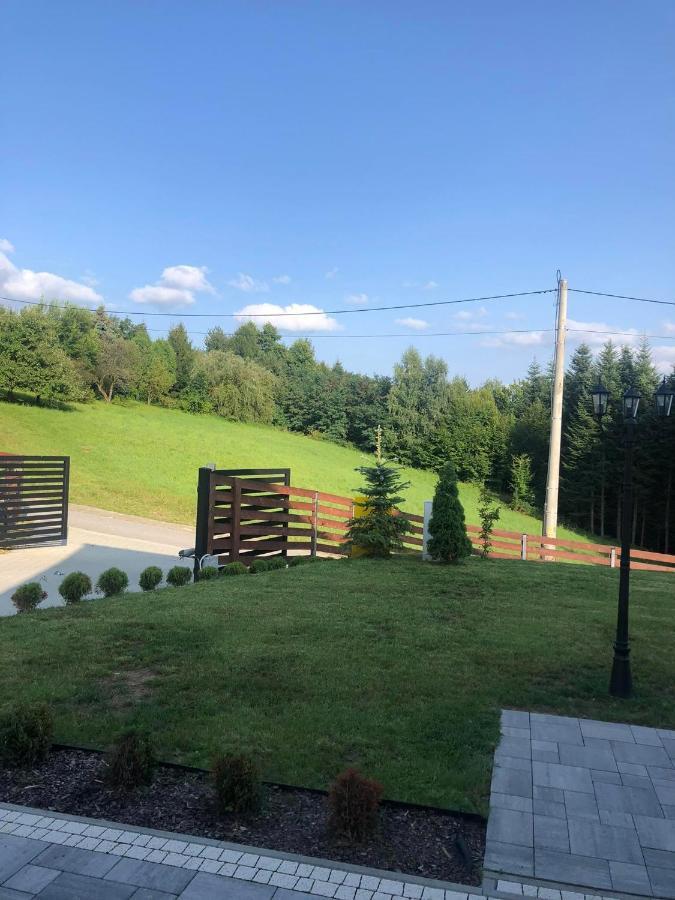 Ferienwohnung Dom Na Borowkowym Wzgorzu Palesnica Exterior foto