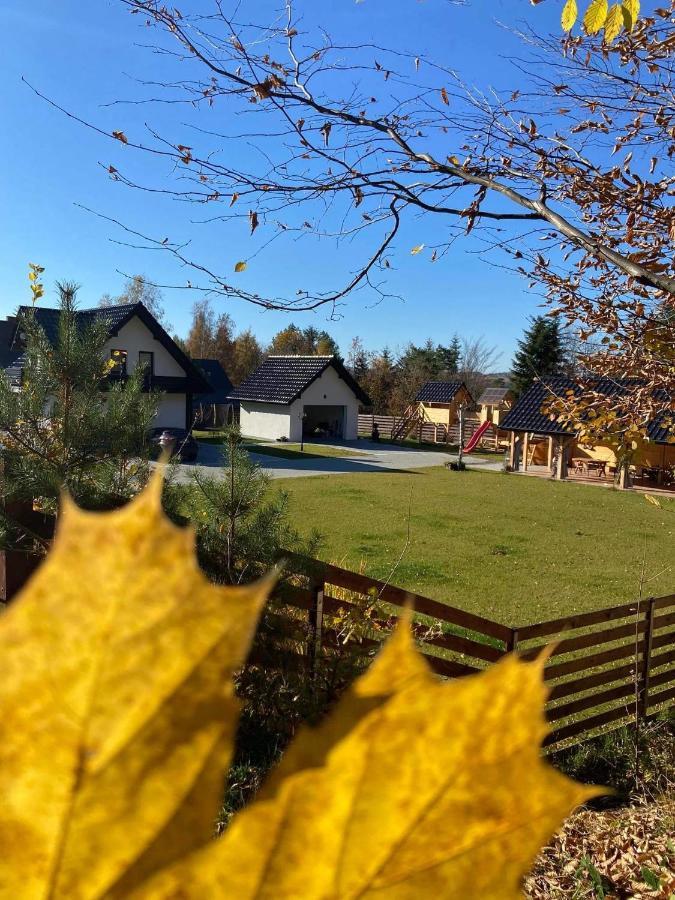 Ferienwohnung Dom Na Borowkowym Wzgorzu Palesnica Exterior foto