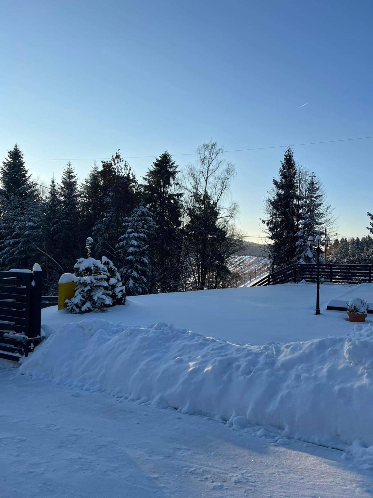 Ferienwohnung Dom Na Borowkowym Wzgorzu Palesnica Exterior foto