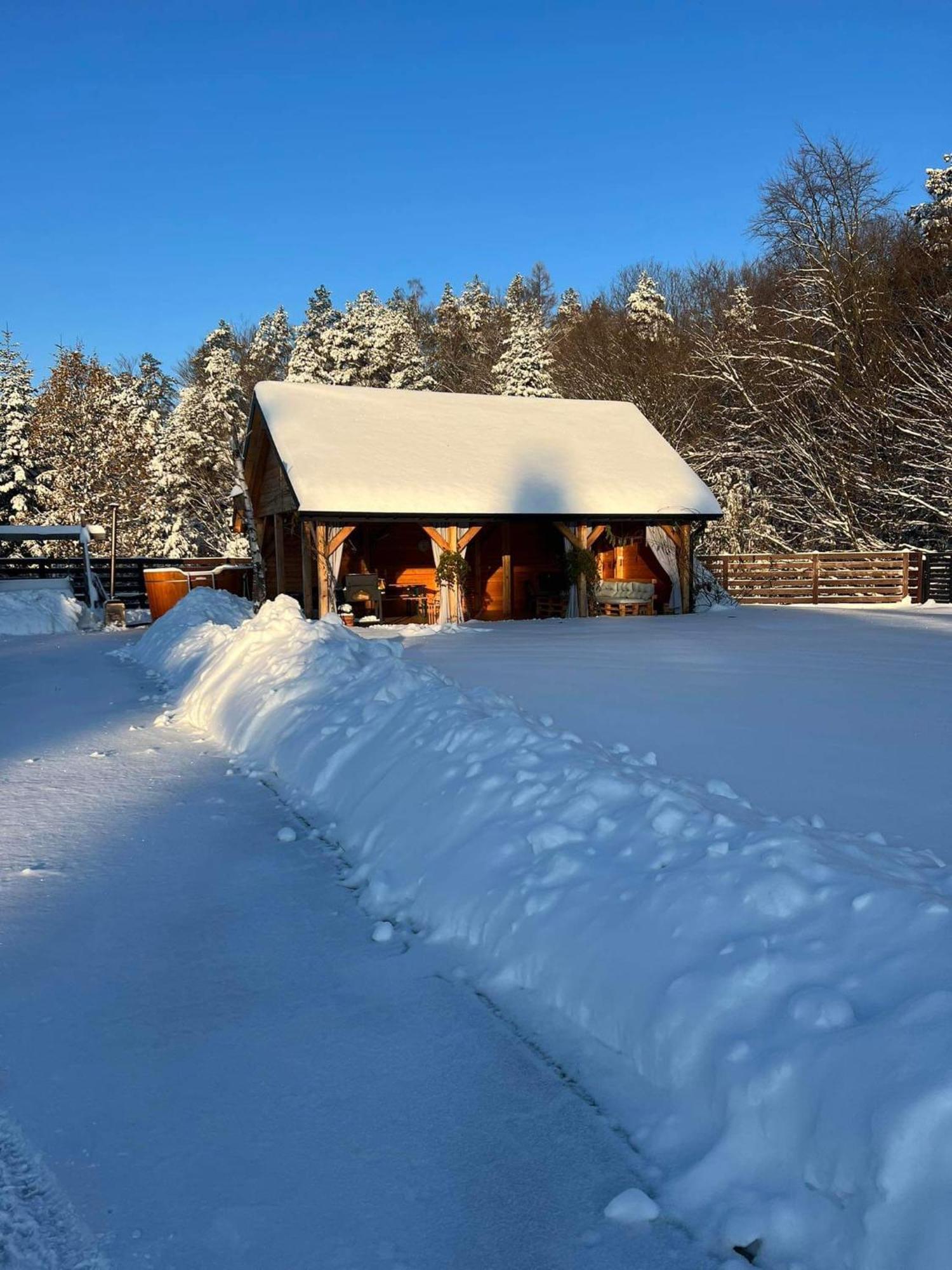 Ferienwohnung Dom Na Borowkowym Wzgorzu Palesnica Exterior foto