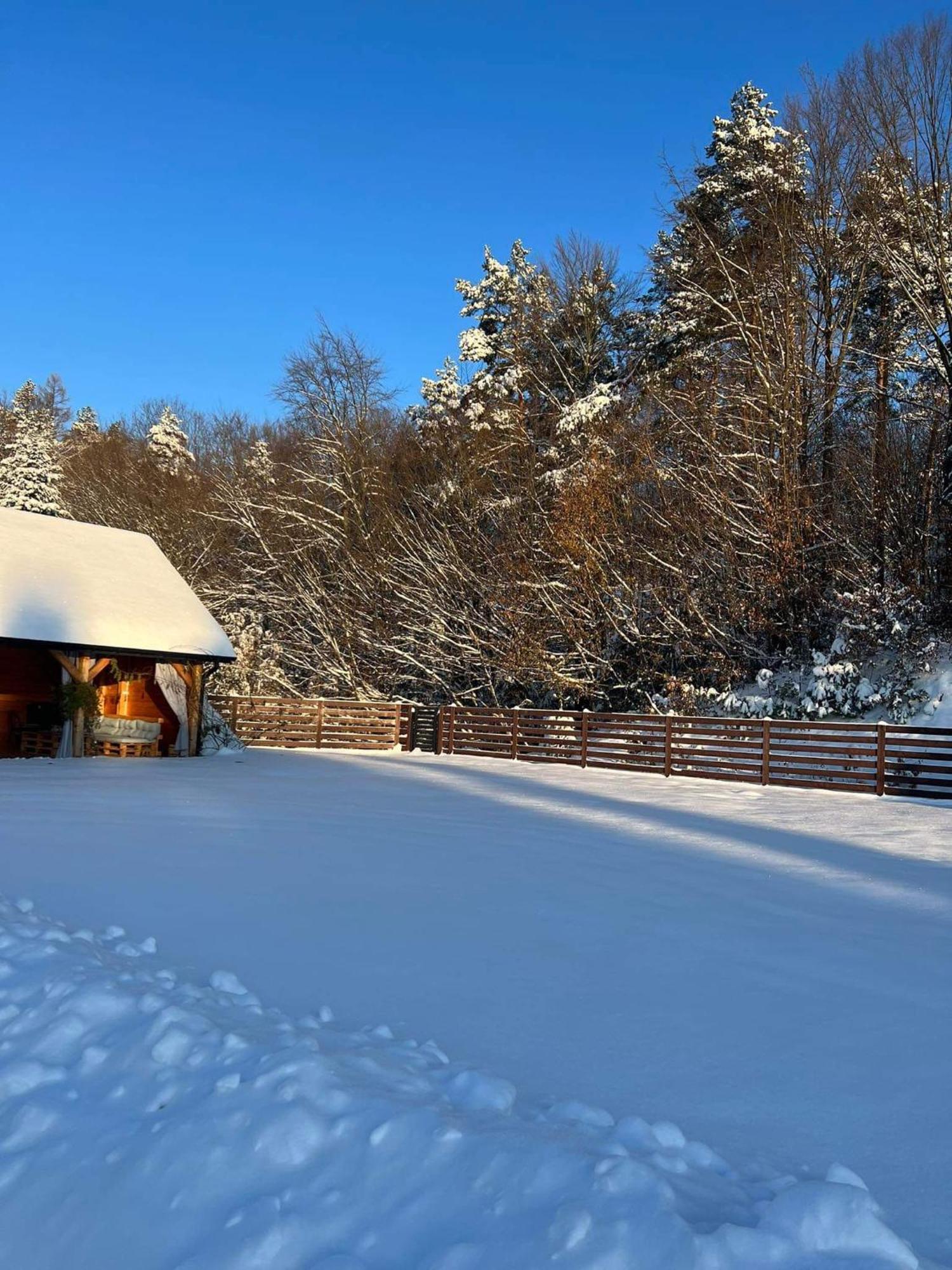 Ferienwohnung Dom Na Borowkowym Wzgorzu Palesnica Exterior foto
