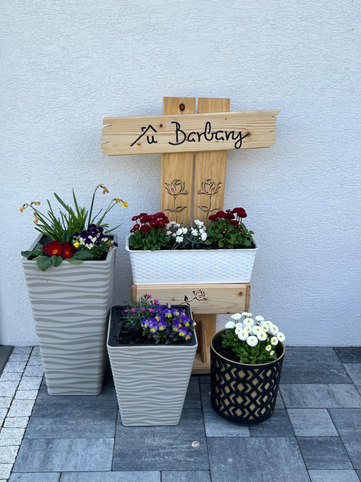 Ferienwohnung Dom Na Borowkowym Wzgorzu Palesnica Exterior foto